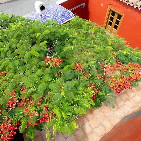 Rural House With Traditional Architecture S. XIX Santa Cruz de Tenerife Exterior photo